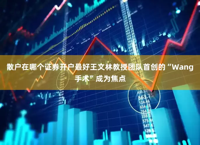 散户在哪个证券开户最好王文林教授团队首创的“Wang手术”成为焦点
